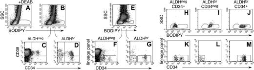 Figure 1. ALDHbr CD34+, ALDHneg CD34+, and ALDHbr CD34neg cells derived from UCB. UCB cells were labeled with BAAA, as described in “Materials and methods.” (A) Background fluorescence was established in the presence of DEAB. (B,E) SSClo ALDHneg and SSClo ALDHbr cell fractions were defined. (C-D) Both cell fractions contained CD34+ cells, although the SSClo ALDHbr fraction was highly enriched for CD34+ cells, to include CD34+ CD38neg cells (n = 8) (D). In most developmental studies, cells expressing lineage-specific antigens were excluded (n = 25). (F) CD34+ linneg cells were isolated from the SSClo ALDHneg. (G) CD34+ linneg and CD34neg linneg cells were isolated from SSClo ALDHbr UCB (H-M). To ensure purity, each cell fraction was sorted twice. Representative reanalyses depict twice-purified linneg SSClo ALDHneg CD34+ cells (H,K), linneg SSClo ALDHbr CD34neg cells (I,L), and linneg SSClo ALDHbr CD34+ cells (J,M).