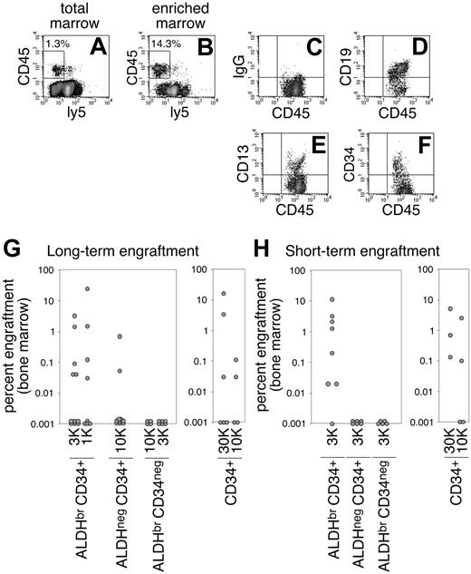 Figure 2. Human hematopoietic engraftment to NOD/SCID bone marrow. NOD/SCID mice received 1000 or 3000 transplanted SSClo ALDHbr CD34+ cells each. Comparisons were drawn to mice that received transplanted SSClo ALDHneg CD34+ or SSClo ALDHbr CD34neg cells (3000 or 10 000 cells per transplant). Transplantation controls included mice that underwent transplantation with 10 000 or 30 000 linneg CD34+ cells. (A) Human hematopoietic engraftment was assessed by the presence of CD45+ ly5neg (murine CD45neg) cells in NOD/SCID bone marrow. (B) To confirm engraftment, some marrows were enriched for human cells by depletion of lineage-committed murine cells using density-dependent negative selection. Percentages indicate the % CD45+ cells. (C) IgG indicates immunoglobulin G. Human hematopoietic engraftment was determined for (D) B-lymphoid, (E) myeloid, and (F) CD34+ progenitor cells. (A-F) Analyses performed at 20 to 21 weeks after transplantation of mice that underwent transplantation with 3000 SSClo ALDHbr CD34+ cells (A-B) or with 3000 linneg SSClo ALDHbr CD34+ cells (C-F). The percentage of long-term human hematopoietic engraftment for each cell fraction is depicted in panel G (as labeled; 18 to 21 weeks after transplantation; n = 6 UCB). The percentage of short-term human hematopoietic engraftment for each cell fraction is depicted in panel H (as labeled; 6 to 7 weeks after transplantation; n = 3 UCB). Each data point represents the percentage of human hematopoietic engraftment within a single mouse.