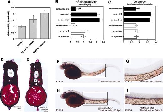 Figure 3. Ceramide generation through thalidomide-activated nSMase in zebrafish embryos, and restoration of thalidomide-induced antiangiogenic action by antisense-morpholino oligonucleotides (MOs) for nSMase. (A-C) Zebrafish embryos were treated at 75% epiboly stage (8 hpf) with the indicated concentrations of thalidomide in the presence or absence of antisense- or invert-MO for nSMase, and harvested at 18 hours after treatment (26 hpf). Thalidomide-induced increase of ceramide generation through nSMase activity peaked at 12 to 18 hours after treatment (A). Injection of antisense-MO for nSMase into embryos inhibits thalidomide-increased activation of nSMase (B) and ceramide generation (C), but that of invert-MO does not. (B-C) ▪ indicates presence of thalidomide; ▪, absence of thalidomide. The results are obtained from 3 independent experiments. The error bars indicate 1 SD. *Statistical significance of antisense-MO effect as compared with invert-MO effect (P < .01). (D,E) Hematoxylin and eosin staining for the transverse section of antisense-MO–injected 48-hpf embryos shows the restoration of the dorsal artery (marked “A”) and posterior cardinal vein (marked “V”) against thalidomide-induced defects (original magnification, ×150). (F-I) Lateral view of in situ mRNA hybridization for FLK-1 at 30 hpf shows that the injection of antisense-MO rescues thalidomide-inhibited FLK-1 expression, as indicated by a rectangular shape (original magnification, ×40; F,H). The restoration by antisense MO of thalidomide-inhibited FLK-1 expression is more evident by the higher magnification (original magnification, ×63; G,I). The results are representative of each experiment (D-J). noto indicates notochord; A, dorsal artery; V, posterior cardinal vein; hpf, hours after fertilization; MO, morpholino oligonucleotide; nSMase, neutral sphingomylinese. Image acquisition was performed as described for Figure 1.