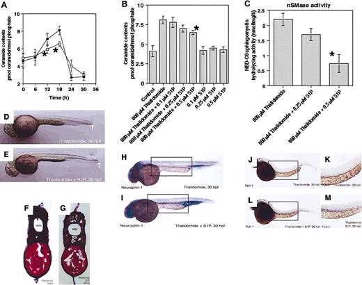 Figure 4. S1P prevents thalidomide-induced antiangiogenic action by inhibition of ceramide generation through nSMase. (A-C) Zebrafish embryos at 60% epiboly stage (7 hpf) were pretreated with the indicated concentrations of S1P for 1 hour before treatment with 800 μM thalidomide, and harvested at the indicated times (A) or 18 hours after treatment (B, C). (A) Thalidomide-induced generation of ceramide (•), peaked 18 hours after treatment, is decreased by pretreatment with S1P (▪). S1P dose-dependently inhibits thalidomide-induced generation of ceramide and activation of nSMase (B,C). The results are obtained from 3 independent experiments. The error bars indicate 1 SD. *Statistically significant inhibition by 0.5 μM S1P of 800 μM thalidomide-induced effects (P < .01). (D,E) Lateral view of a fixed embryo at 30 hpf shows that pretreatment with S1P restores thalidomide-caused shortness of embryo (white arrows). (F,G) Hematoxylin and eosin staining for the transverse section shows that thalidomide-induced defects of the dorsal artery (marked “A”) and vein (marked “V”) are reconstructed by pretreatment with S1P. (H-M) In situ mRNA hybridization was performed for endothelial markers neuropilin-1 (H,I) and FLK-1 (J-M). Thalidomide-caused inhibition of neuropilin-1 and FLK-1 expressions at the large vascular region is restored by pretreatment with S1P, as indicated by boxes (I,L). The restoration by S1P of thalidomide-inhibited FLK-1 expression at large vessels is more evident by the higher magnification (K,M). The results are representative of each experiment. noto indicates notochord; A, dorsal artery; V, posterior cardinal vein; hpf, hours after fertilization. Original magnifications of panels are as follows: D, E, H, I, J, L, ×40; F, G, ×150; and K and M, ×63. Image acquisition was performed as described for Figure 1.