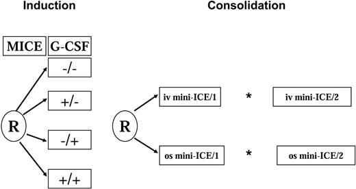Figure 1. AML-13 schema. *After the first consolidation, patients 61 to 70 years old who were WHO PS 0 or 1 were eligible to receive autoPBSC transplantation instead of a second consolidation.