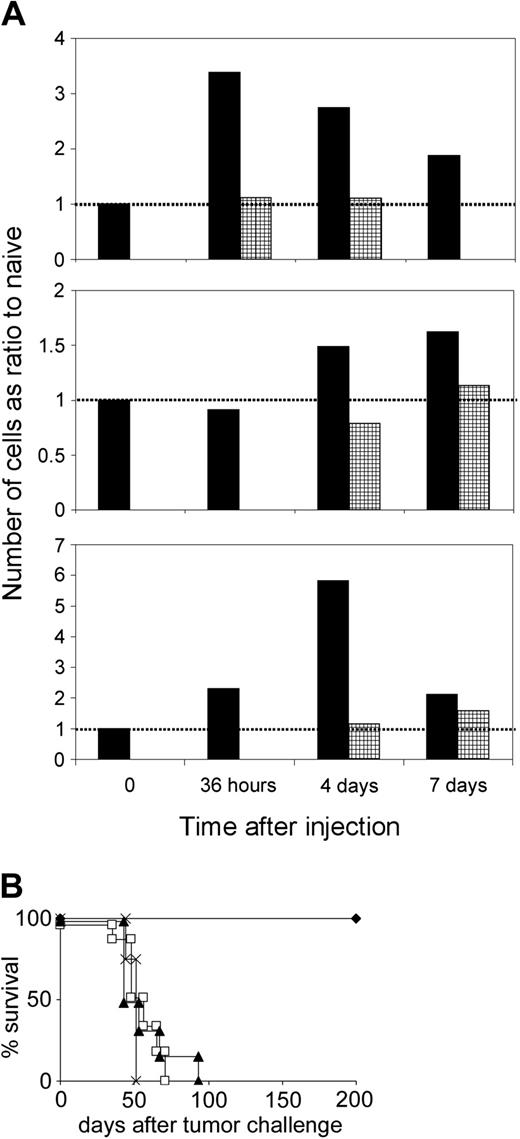 Figure 5. Unpulsed DCs activate NK cells to induce IL-12 in endogenous DCs and to prime CTL responses. (A) Mice were treated with CD40-/- DCs without (▪) or with () anti–IFN-γ mAb. Draining lymph nodes were taken at different time points, the cells counted, and the different cell populations analyzed by flow cytometry. The total number of cytokine-positive cells was calculated and expressed as a ratio compared with the number calculated for naive mice at each time point (value = 1 for naive mice, indicated as dotted line). Typical result from 2 independent experiments with identical outcome. (B) Role of IFN-γ and IL-12 in vivo. Mice treated with anti–IFN-γ (□), anti–IL-12 mAb (▴), or irrelevant isotype-matched mAb () received 2 immunizations with CD40-/- DCs and were challenged with A20 lymphoma 1 week after the second vaccination. × indicates tumor control.