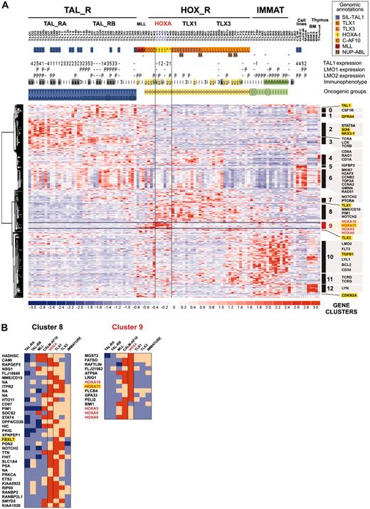 Figure 4. Supervised clustering of genes differentially expressed among major sample groups. (A) This hierarchical classification was performed using 469 probe sets detecting differential expression among sample groups (Figure 2A). Samples were preclassified according to oncogenic group assignment as defined in Figure 2B. The same conventions for sample annotations are used. The HOXA_R subgroup is indicated (HOXA-rearranged, n = 4, and HOXA-related, n = 2). Clusters of genes defined by this supervised clustering are indicated (clusters 0-12). Genes of particular interest are labeled using Locuslink symbol, and genes without significant thymic expression are highlighted in yellow (ectopic thymic expression). The cluster C9, which is defined by HOXA-expressing samples and contains HOXA genes, is highlighted in red. (B) List of genes from clusters C8 and C9 and relative expression in oncogenic subgroups. Genes from cluster C8 are frequently highly expressed in subsets from the HOX_R group; cluster C9 is defined mainly by the HOXA-expressing samples (HOXA_R, CALM-AF10, and MLL) and includes HOXA genes (in red); “ectopic” genes with respect to thymus expression are highlighted in yellow. NA indicates Locuslink symbol not available. Relative expression in each T-ALL group is shown by color scale.
