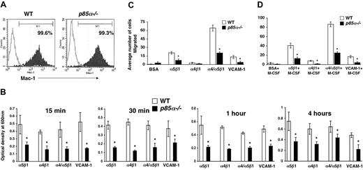 Figure 2. Deficiency of p85α in BMMs results in reduced adhesion and migration. (A) Expression of Mac-1 on WT and p85α–/– BMMs. BMMs were stained with an anti–Mac-1 antibody or an isotype control antibody and subjected to flow cytometric analysis. Filled histograms indicate the level of Mac-1 staining on the surface of both WT and p85α–/– BMMs; open histograms, the level of staining using an isotype control antibody. (B) WT or p85α–/– BMMs (5 × 105) were subjected to an in vitro adhesion assay on fibronectin fragments CH271 (which contains a binding site for α5β1), H296 (which contains binding sites for α4β1), and CH-296 (which contains binding sites for both α4β1 and α5β1) and VCAM-1. Adhesion was assessed by measuring absorbance at indicated times. Shown is the optical density of the adherent cells at 600 nm. *P<.05 for WT versus p85α–/–.WTor p85α–/– BMMs (2.5 × 105) were subjected to an in vitro migration assay on fibronectin fragment CH271 (which contains a binding site for α5β1), H296 (which contains binding sites for α4β1), and CH-296 (which contains binding sites for both α4β1 and α5β1) as well as VCAM-1–coated transwell membranes. Cell migration was performed either in the absence (C) or presence (D) of M-CSF. Cell migration is expressed as the average number of cells migrated. Figure shows the average number of cells migrated ± SD. Ten fields were scored from one representative experiment. Similar results were observed in 3 other experiments. *P<.05 for WT versus p85α–/–.
