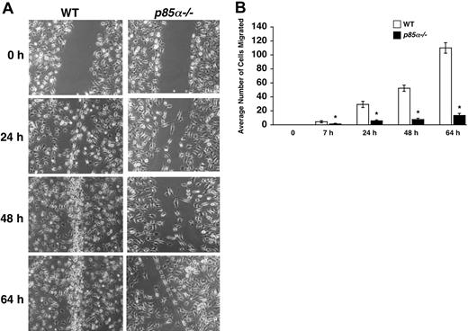 Figure 3. Impaired migration of p85α–/– BMMs in a wound-healing assay. (A) WT and p85α–/– BMMs were cultured for 8 days in 24-well plates in IMDM/20% FBS/100 ng/mL M-CSF. An artificial wound was created in the macrophage monolayer using a pipette tip. Photographs were taken immediately and again at indicated time periods after creating the wound. Data are from one representative experiment. Similar results were obtained in 2 independent experiments. Images were acquired through an Olympus TH3 microscope equipped with a 20×/0.4 objective lens (Olympus, Melville, NY), and were captured with a Nikon HRD100 camera (Nikon, Melville, NY). (B) Quantification of the wound-healing assay. The figure shows the mean number of cells migrated ± SD. Data are from one representative experiment. *P<.05 for WT versus p85α–/–.