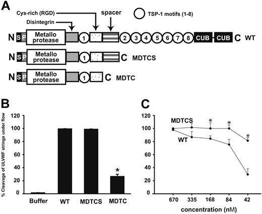 Figure 1. Cleavage of ULVWF strings under flow in the absence of plasma. Recombinant ADAMTS-13 and 2 truncation mutants (A) were resuspended in the complete Tyrode buffer to a final concentration of 670 nM and perfused over histamine-stimulated HUVECs at a shear stress of 2.5 dyne/cm2. (B) Perfusion of WT or MDTCS mutant resulted in 100% cleavage of ULVWF strings after 2-minute perfusion, whereas the cleavage by the MDTC mutant was significantly less. (C) The dose-dependent cleavage of ULVWF strings by WT ADAMTS-13 and the MDTCS mutant suspended in Tyrode buffer. At the concentrations of 42, 84, and 168 nM, the cleavage activity of the MDTCS mutant was significantly greater than that of WT. The figures are mean ± SEM; n = 96 for panel B and n = 9 for panel C; *P < .005 compared with WT.