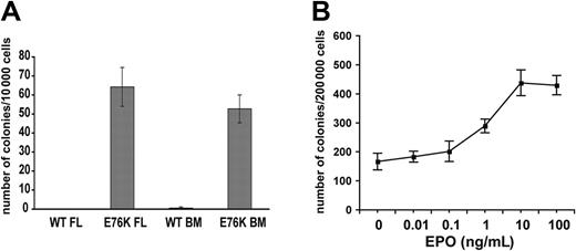 Figure 5. Effects of E76K SHP-2 expression on erythroid progenitor growth. (A) Fetal liver (FL) and bone marrow (BM) cells transduced with E76K SHP-2 form large numbers of BFU-E colonies in methylcellulose medium supplemented with a saturating dose of EPO. In contrast, cells expressing WT SHP-2 form few colonies. Error bars indicate standard deviation of quadruplicate plates. (B) E76K SHP-2–expressing fetal liver cells show EPO-independent BFU-E colony growth. The addition of EPO increases both the number and the size of the BFU-E colonies. Error bars indicate standard deviation of duplicate plates.