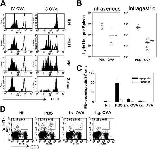 Figure 1. The sites of cross-presentation and induction of cross-tolerance by intravenous and intragastric administration of soluble OVA. (A) CFSE-labeled OT-I T cells were transferred into their syngenic C57BL/6 mice, which then received OVA via intravenous (IV; 5 mg) or intragastric (IG; 25 mg) routes, respectively (filled curve), or PBS as a control (open curve). Forty-eight hours later, lymphoid cells from the indicated secondary lymphoid organs were obtained and analyzed after gating with Vα2+ cells. (B-D) Groups of C57BL/6 mice were given 5 mg intravenous OVA or 25 mg intragastric OVA or PBS. Seven days later, the mice were primed with OVA-loaded splenocytes. (B) Cr-51 release assay was performed at 7 days after priming. The lytic unit was calculated as described in “Materials and methods,” and the mean value is expressed as a bar. (C) ELISPOT assay was performed to assess IFN-γ secretion by antigen-specific cells in response to 1 μM OVA peptide 7 days after priming. Values represent the mean ± SE. (D) Intracellular IFN-γ accumulation was assessed 7 days after priming as described in “Materials and methods.” i.v. indicates intravenous; i.g., intragastric. Means ± SEs from 3 mice per group are shown.