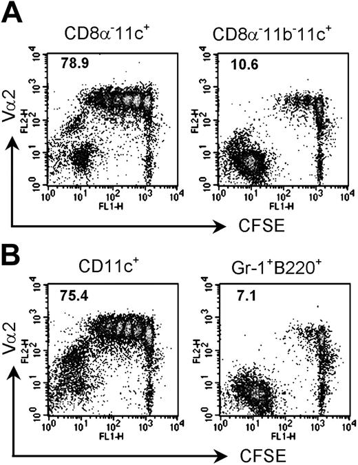 Figure 5. CD8α–CD11b+ DCs are the main cross-presenting cells of intestinal OVA. (A) A group of mice was given 100 mg intragastric OVA, and the CD11c+ cells were positively isolated after depletion with anti-CD8α and anti-CD11b microbeads. (B) Gr-1+B220+ cells were isolated from MLN low-density cells of mice treated with 100 mg intragastric OVA using FACS. Sorted cells were cocultured with CFSE-labeled OT-I T cells for 3 days and then analyzed by flow cytometry. The percentages of cells that had undergone division are indicated. Data are representative of 3 experiments.