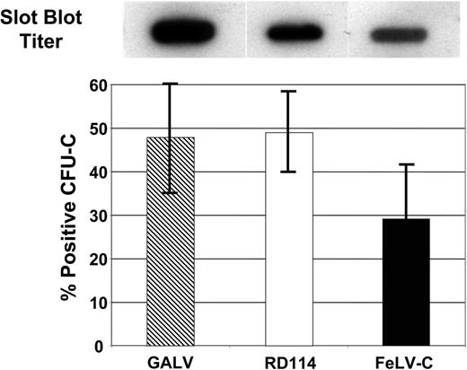 Figure 3. Transduction of human CFU-Cs with GALV, RD114, or FeLV-C pseudotyped retroviral vectors. Slot blot analysis of 1.0 mL virus-containing medium was used to compare the titer of the different virus preparations (top panel). Human CD34+ peripheral blood CD34+ cells were transduced with GALV, RD114, or FeLV-C pseudotyped retrovirus particles. Transduced CFU-Cs were identified by PCR analysis of DNA extracted from each colony. Data shown was pooled from 3 experiments. Error bars indicate standard deviation.