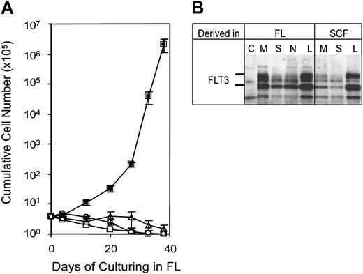 Figure 4. A simple FL-dependent proliferation and immortalization cell system can evaluate cooperation between Meis1 and Hoxa9. (A) Growth curve of progenitors cultured in FL following infection with empty vector (▵), Hoxa9 (□), Meis1 (○), or Meis1 plus Hoxa9 (▪). Error bar indicates standard deviation of data from 3 repeated experiments. (B) Anti-FLT3 immunoblot demonstrating strong FLT3 expression in representative leukemias arising from Hoxa9/Meis1-immortalized progenitors derived in either SCF or FL. Immunoblots were performed on cell extracts from a control cell line (C), from the bone marrow (M), spleen (S), and lymph nodes (N) of leukemic mice, and from cultured leukemic blasts from splenic tissue (L).