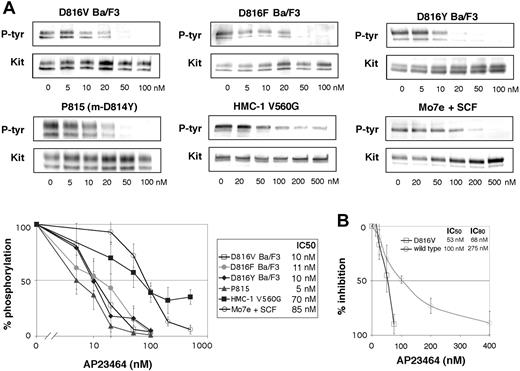 Figure 2. Inhibition of Kit phosphorylation and Kit kinase activity by AP23464. (A) Inhibition of Kit phosphorylation by AP23464. Kit immunoprecipitates from cell lines expressing various Kit mutants were immunoblotted for phosphotyrosine (P-tyr) content in escalating doses of AP23464. Mo7e cells stimulated with SCF were used as a model of activated wild-type Kit. Immunoprecipitates were divided to simultaneously produce total Kit immunoblots as a loading control. Phospho-Kit levels were normalized for total Kit and 3 independent experiments were averaged to calculate IC50 values and to generate the graph shown at bottom. Representative gels are shown for each cell line. (B) Inhibition of Kit kinase activity by AP23464. In vitro kinase assays of peptide substrate phosphorylation were performed with purified intracellular Kit or D816V Kit in escalating concentrations of AP23464. Graphs represent the mean reaction rates shown as percentages of the uninhibited reaction rate. Error bars depict standard deviation of the mean.
