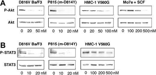 Figure 5. Down-regulation of mutant Kit–dependent signaling by AP23464. Cell-lysate immunoblots for (A) phospho-Akt-serine 473 and (B) phospho-STAT3-tyrosine 703 were performed for D816V Ba/F3, P815 m-D814Y, the juxtamembrane mutant HMC-1, and SCF-stimulated Mo7e cell lines following treatment with escalating AP23464 concentrations. SCF stimulation of Mo7e cells did not induce STAT3 tyrosine phosphorylation and thus is not shown. Simultaneous total Akt and total STAT3 blots were done as loading controls. Representative gels are shown.