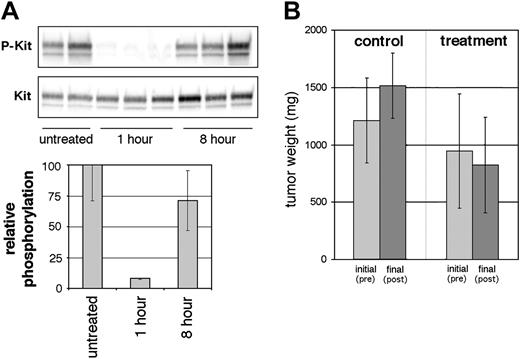 Figure 7. In vivo inhibition of Kit phosphorylation and tumor growth by AP23848. (A) Murine tumors were induced by subcutaneous injection of the activation-loop mutant cell line P815. Following tumor establishment, mice were treated 3 times daily with 100 mg/kg AP23848. Tumor tissue was obtained from treated mice, 3 at 1 hour and 3 at 8 hours after dose, and from 2 untreated mice, and (top) lysates were immunoblotted with a phospho-specific antibody for Kit Y568/Y570. (Bottom) Phosphotyrosine levels were averaged for each cohort to generate the graph shown. (B) Tumor weight was calculated from the measured dimensions of the tumors before treatment and after treatment at the time that the mice were killed. Average tumor weight for the treated and untreated groups was calculated to generate the graph shown. P values (Student t test) show a statistically significant difference in tumor size between the control and treatment groups following therapy. Error bars depict standard deviation of the mean.