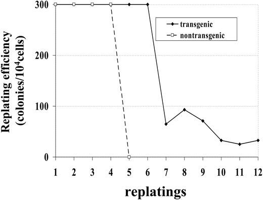 Figure 3. Increased replating potential of NHD13 bone marrow. Bone marrow was obtained from 1 transgenic (no. 1101) and 1 nontransgenic (no. 1094) mouse. Dishes with more than 300 colonies were scored as 300 colonies.