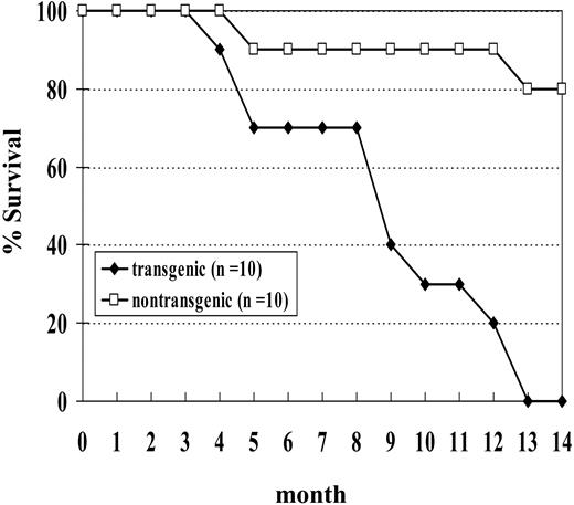 Figure 5. Survival curve of NHD13 transgenic mice. Mice were observed for 14 months. Two nontransgenic control mice were found dead without signs of acute leukemia.