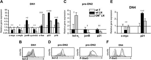 Figure 5. LN DN cells show distinct gene expression profiles. Real-time RT-PCR assays and FACS analysis measuring gene and protein expression in DN1 (A-B), pre-DN2 (C-D), and DN4 (E-F) cells sorted from lymphoid organs. The mRNA levels of the wt thymus for DN1 (A) and DN4 (E) cells and of wt LN for pre-DN2 (C) cells were set as 1. Hprt mRNA levels were used to normalize cDNA content among subpopulations. (A,C,E) Data are mean ± SD from 3 independent experiments. Differences between groups were evaluated with Student t test. Levels of statistical significance for comparison of wt thymus versus wt LNs are *P < .02 and **P < .003 and for comparison of wt LN versus OM+ LNs, †P < .04, ††P < .008, and †††P < .001. Intracellular staining for Bcl-2 and phospho-Stat3 (P-Stat3) proteins was done (B,D,F) on wt thymus (solid black line), wt LNs (gray shaded histograms), and OM+ LNs (solid gray line) DN cells. Secondary antibody was used as a negative control for P-Stat3 staining (dotted line).