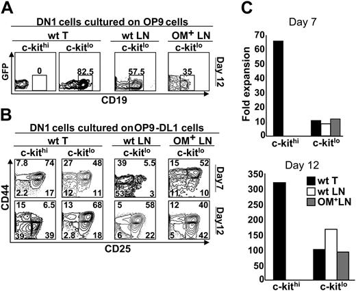 Figure 6. c-Kitlo and c-Kithi progenitors display different differentiation potential when grown on OP9 and OP9-DL1 cells. The following subsets of Lin–CD44+CD25–DN1 cells were sorted: c-KitloSca-1+ cells from the thymus, wt LNs, and OM+ LNs, and c-KithiSca-1+ cells from the thymus. These DN1 cell populations were plated on a confluent monolayer of (A) OP9 cells or (B) OP9-DL1 cells and analyzed by flow cytometry at the indicated time points. (C) Fold expansion of progenitors plated on OP9-DL1 cells was measured by dividing the number of cells harvested by the number of cells initially plated. The analysis is of 1 representative experiment out of 3.
