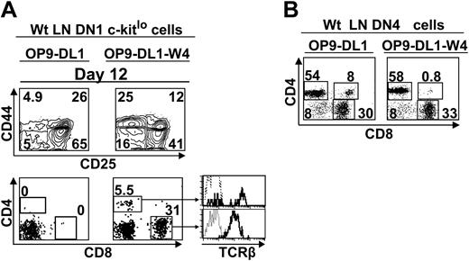 Figure 7. LN c-Kitlo progenitors can complete T-cell development when grown on stromal cells transfected with Wnt4 (OP9-DL1-W4). (A) Sorted DN1 cells (4 × 103; Lin–CD44+CD25–Sca1+c-kitlo) from wt LNs were plated on 6-well tissue culture plates containing a confluent monolayer of OP9-DL1 cells transfected or not with Wnt4 and analyzed by flow cytometry after 12 days in culture. Dotted line represents isotype control. (B) Sorted DN4 cells (105; Lin–CD44–CD25–) harvested from wt LNs were cocultured on OP9-DL1 or OP9-DL1-W4 cells and analyzed on day 7. Numbers indicate cell population percentages. The analysis is of 1 representative experiment out of 2.