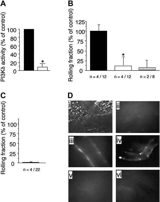 Figure 5. The p110γ is required for efficient capture of neutrophils by E-selectin. (A) Immunoprecipitates of spleens from WT mice using a p110δ-specific antibody that was assayed for PIP3 production in the absence (▪) or presence (▪)of IC87114 (10 μM). The results are expressed as the percent activity in vehicle-treated p110δ immunoprecipitates and represent the mean plus or minus SD values of 3 independent determinations in duplicate. *P < .01 as compared with vehicle-treated WT spleen lysate. Rolling fraction of P-selectin–/–/GFP–/+ animals (B) pretreated with vehicle control (▪), IC87114 (▪), or mAb 9A9 (▦) 1 hour prior to induction of inflammation with TNFα or (C) in those that also lacked p110γ. Data represent the mean plus or minus SD and are normalized as a percentage of control; *P < .05 as compared with control. n = number of mice /venules analyzed. (D) In vivo imaging of E-selectin expression on CM venules in mice with or without prior stimulation with TNFα. Fluorescent Qdots coated with an antibody that recognizes murine E-selectin were injected intravenously into animals and immunolocalization of this adhesion molecule was visualized by intravital microscopy. Transmitted light (i) and epifluorescence (ii) images depict staining of venules in P-selectin–/– mice in the absence of TNFα stimulation. Representative micrographs of inflamed venules in P-selectin–/– animals pretreated with (iii) IC87114 or (iv) lacking p110γ, respectively, or mice deficient in E-selectin in the absence (v) or presence (vi) of IC87114.