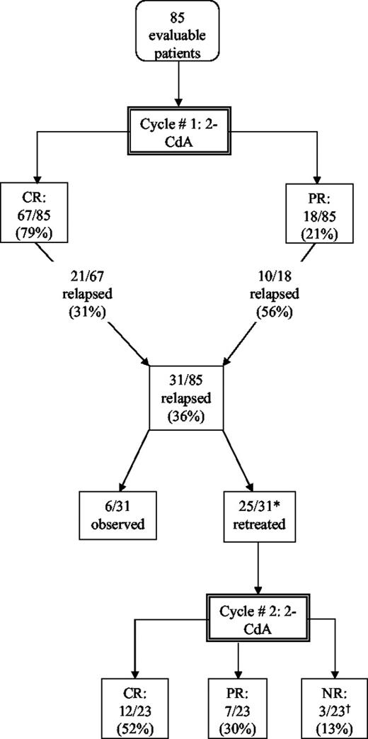 Figure 1. Diagram of response and relapse to cycle no. 1 and response to cycle no. 2 in patients with HCL treated with 2-CdA. * One of the 25 patients was treated with rituximab (CR), and one of 25 was retreated with 2′-DCF (CR). † One (4%) of 23 patients' responses remains to be determined.