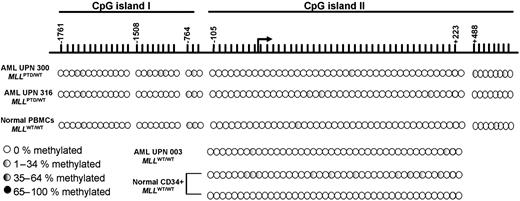 Figure 4. MLL 5′-CpG island methylation status. Genomic DNA was extracted from bone marrow cells enriched for CD34+ cells from 2 disease-free donors and peripheral blood mononuclear cells from 1 disease-free donor. DNA was extracted from diagnostic bone marrow (BM) cells obtained from 2 AML cases with the MLLPTD/WT and 1 AML case with the MLLWT//WT and all with greater than 50% blasts prior to enrichment. BS-PCR sequencing was performed as described in “Materials and methods.” The CpG sites (indicated by vertical lines on a horizontal line representing DNA sequence) evaluated are numbered relative to the known transcriptional initiation site of MLL (arrow above horizontal line). The total number of plasmid subclones sequenced for each sample was 10. Percentage of methylation status (number of times methylation was observed for a particular CpG site of 10 sequenced clones × 100%) is indicated by shading of circles.