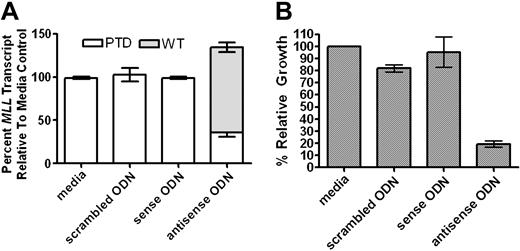 Figure 7. Down-regulation of MLL PTD fusion transcript is associated with induction of MLL WT and reduced AML-CFUs. (A) Antisense inhibition of expression of the MLL PTD with the exon 12 to exon 5 self-fusion in primary MLLPTD/WT AML blasts. Cells were treated as described in “Materials and methods” and using 10 μg/mL phosphothiorated ODNs. QRT-PCR was performed in duplicate to determine the MLL WT/MLL PTD transcript ratio after treatment in vitro with media only or ODNs. Data are presented as the percentage of total MLL transcript present in the sample. (B) Inhibition of AML blast-colony-forming unit (CFU) formation using antisense ODNs (10 μg/mL) directed against the MLL PTD of exons 5 through 12. Cells were treated as described in “Materials and methods” and plated in media-supplemented methylcellulose for colony formation. The number of colonies arising in the media-only controls represents maximal growth (100%). Results are presented as the percentage of growth relative to media-only control growth ± SD and are representative of 3 separate experiments.
