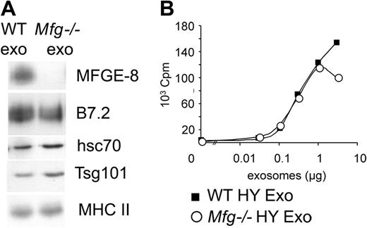 Figure 6. Absence of MFG-E8 on mature exosomes does not account for their increased efficiency. (A) Western blot analysis of 3 μg of exosomes purified from immature WT or MFG-E8–deficient (Mfg–/–) BMDCs. (B) 3H-thymidine incorporation by Marilyn T cells cultured with mature BMDCs and HY-bearing immature WT (WT HY Exo) or MFG-E8–deficient exosomes (Mfg–/– HY Exo). One representative experiment out of 4.