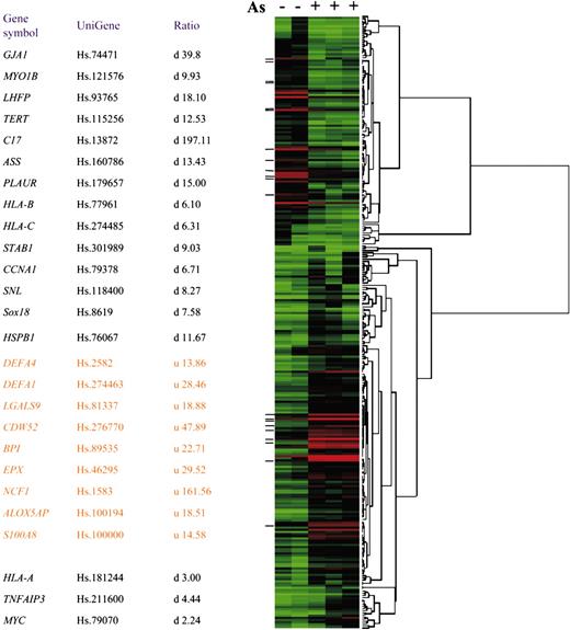 Figure 1. Expression profile of arsenic-responsive genes. (Left) Gene symbols, UniGene numbers, and change ratios of expression as revealed by microarray analysis of the 26 highly responsive genes for RT-PCR after hydrogen peroxide treatment or NAC rescue experiment. Three genes, denoted with asterisks, were not changed more than 6-fold; hence, they are omitted from the heat map. u indicates up-regulated; d, down-regulated. (Right) Heat map demonstrating the arsenicinduced changes in expression (at least 6-fold) of 106 down-regulated and 177 up-regulated genes.