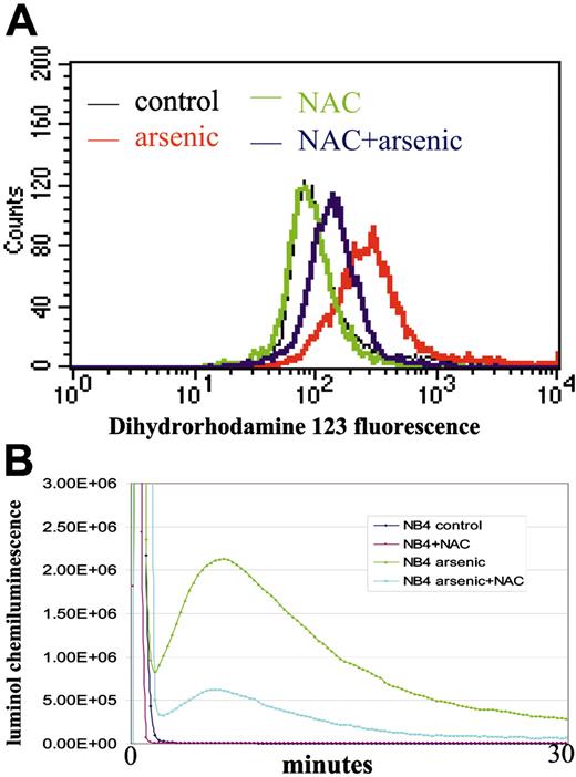 Figure 2. Arsenic induces ROS production. (A) ROS detection by flow cytometry using dihydrorhodamine 123 as a probe. Pretreatment with NAC significantly blunts ROS production after arsenic treatment. (B) ROS detection by luminol chemiluminescence. Cotreatment with NAC significantly blunts arsenic-induced ROS. Experiments were repeated twice with similar results. The y-axis represents arbitrary units of signal intensity, and the x-axis represents duration of measurement in minutes.