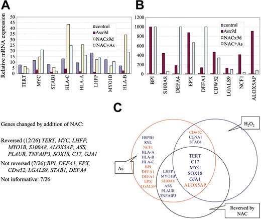 Figure 4. Effect of NAC on arsenic-induced gene expression. (A-B) Certain arsenic-induced gene expression changes can be blunted by at least 50% with NAC cotreatment (reversed). There are also genes whose expression is altered by arsenic but that remain unaffected by NAC (not reversed). Some genes were responsive (more than 2-fold) to NAC alone without arsenic and hence were categorized as being “not informative.” Values are averages of triplicates. Independent experiments were performed at least twice with similar results. (C) Schematic diagram showing that 6 of 26 genes tested are directly related to ROS production (common area of the 3 circles). Blue highlights down-regulated genes, and red highlights up-regulated genes by arsenic treatment. The 9 genes in the area common to the red and blue circles denote those with consensus change of expression after treatment with arsenic or hydrogen peroxide. The 12 genes in the area common to the red and black circles are those whose expression change after arsenic treatment could be reversed by NAC.