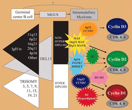 Early oncogenic events in MM. See the complete figure in the article beginning on page 296.