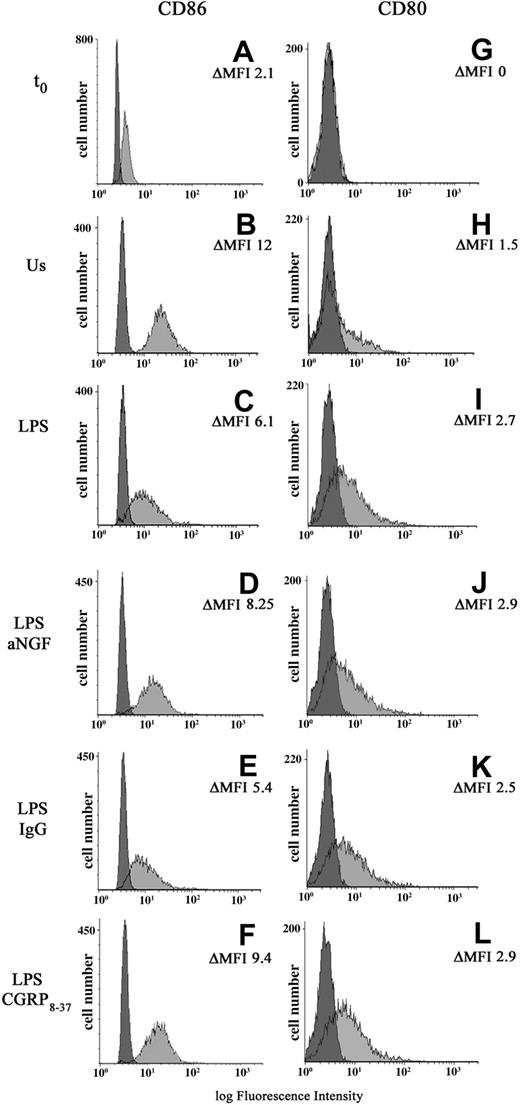 Figure 5. Effects of NGF and CGRP8-37 on B7 expression. A representative finding of 8 independent experiments showing CD80 and CD86 expression in peripheral-blood monocytes freshly taken (t0: A,G) or after 24 hours of different culture conditions: unstimulated cells (Us: B,H), LPS-treated monocytes (LPS: C,I) with or without the addition of anti-NGF antibody (LPS abNGF: D,J), control IgG (LPS IgG: E,K), CGRP8-37, the CGRP1 receptor antagonist (LPS CGRP8-37: F,L). Negative controls were cells incubated with isotype mouse IgG (darker area). For each population the values of ΔMFI for CD80 and CD86 positivity are included.