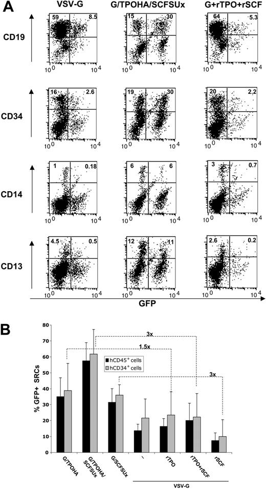 Figure 7. Preferential transduction of NOD/SCID repopulating cells by TPO- and SCF- or TPO/SCF-displaying LVs. NOD/SCID mice that received 2 × 105 CD34+ CB cells transduced with TPO- (G/TPOHA), SCF- (G/SCFSUx), TPO/SCF- (G/TPOHA/SCFSUx), or VSV-G–pseudotyped vectors were analyzed for human engraftment in femur BM (hCD45+) at 7 weeks after transplantation. (A) FACS analysis of multilineage engraftment by CB CD34+ cells transduced for 24 hours at an MOI of 4 with TPO/SCF-displaying lentiviral (G/TPOHA/SCFSUx) or unmodified vectors in absence (VSV-G) or presence of rTPO (10 ng/mL) and rSCF (50 ng/mL). The upper right quadrant shows the GFP+ cells within the CD19+, CD14+, CD34+, CD13+ cells in the human graft (hCD45+ cells). The FACS profiles are representative of each transduction condition. (B) CB hCD34+ cells were transduced for 24 hours at an MOI of 4 with TPO- (G/TPOHA), SCF- (G/SCFSUx), TPO/SCF- (G/TPOHA/SCFSUx), or VSV-G–pseudotyped vectors in the absence (–) or presence of the counterpart cytokines. After repopulation into NOD/SCID mice, transduction levels of total SRCs (hCD45+) and the subpopulation of human progenitor cells (hCD34+) were compared.
