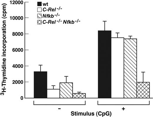 Figure 5. Nfkb1–/–C-Rel–/– pDCs fail to stimulate naive T cells in a mixed lymphocyte reaction. pDCs isolated from wt or Rel/NF-κB mutant mice were incubated with CBA/CaH CD4+ T cells and incubated for 4.5 days in the absence (–) or presence (+) of CpG1668-ODN. Cultures were then pulsed for 8 hours with 3H-thymidine, harvested, and incorporated radioactivity measured by scintillation counting. The data are representative of 2 independent experiments, and error bars represent variation among triplicate samples within an experiment.