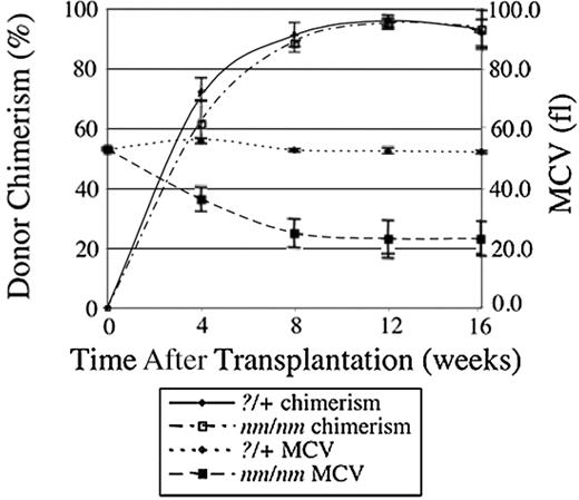 Figure 2. Kinetics of bone marrow transplantation with nm/nm and ?/+ donors. Irradiated C57BL/6J-Igha Thy1a Gpi1a +/+ animals that had received C57BL/6J-Ighb Thy1b Gpi1b ?/+ (n = 6) or nm/nm (n = 5) fetal liver cells were serially monitored for RBC chimerism by Gpi1 isozyme analysis and blood parameters. The decrease in MCV closely follows engraftment by nm/nm cells. Error bars indicate plus or minus 1 standard deviation (SD).