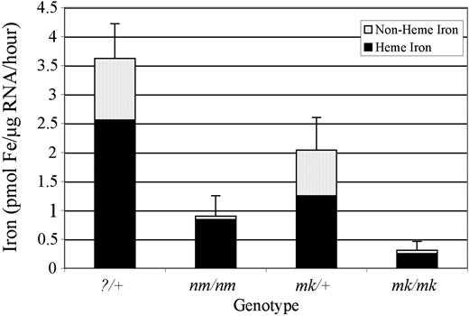 Figure 3. Transferrin-bound iron uptake by nm/nm reticulocytes. Reticulocyte iron uptake and heme synthesis was measured in 129S6/SvEvTac-?/+ (n = 10) and -nm/nm (n = 5) as well as MK/ReJ-Slc11a2mk/+ (n = 4) and -Slc11a2mk/mk (n = 9) animals following incubation with 55Fe2-transferrin. Error bars are of total iron uptake ± 1 SD. Incubations were carried out for 30 minutes, when the assay was linear, but normalized to and presented as uptake per microgram of RNA per hour.