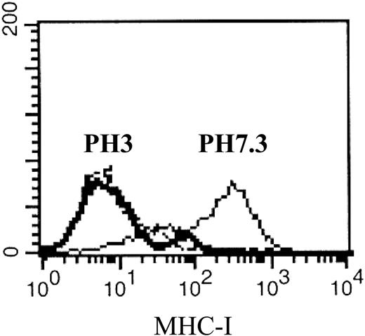 Figure 2. Reduced HLA class I antigen expression on CD34+ CML cells following acid stripping. Cryopreserved bone marrow cells obtained from CML patient 2 were thawed and CD34+ cells were isolated and cultured in 1% BSA (solid line) or acid-stripped at pH 3.0 (bold solid line). An IgG1 isotype was used as a negative control (dashed line).