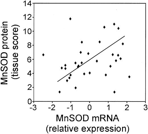 Figure 4. Correlation of the MnSOD mRNA and MnSOD protein in DLBCL patient samples. Plot of the relative MnSOD mRNA expression from the LLMPP microarray versus MnSOD protein using a tissue score that takes into account the intensity and frequency of MnSOD immunohistochemical staining in 33 DLBCL patient samples.
