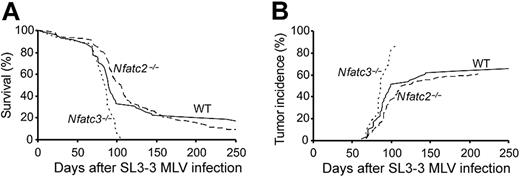 Figure 2. Diminished survival and increased tumor incidence in Nfatc3-/- mice after SL3-3 infection. (A) Survival curves of Nfatc3-/- (n = 16/16), Nfatc2-/- (n = 80/88), or wild-type (n = 48/58) (including heterozygotes) BALB/c mice infected with SL3-3. (B) The cumulative incidence of tumor development of Nfatc3-/- (n = 14/16), Nfatc2-/- (n = 53/88), and wild-type (n = 38/58) mice based on enlarged lymphoid organs as defined previously (for details, see “Materials and methods”).
