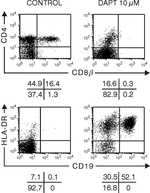 Figure 1. DAPT inhibits Notch signaling in hybrid human-mouse fetal thymus organ culture. Representative flow cytometric analyses of human cells from FTOC seeded with human CD34+ CB progenitor cells and cultured for 28 days in the absence or presence of 10 μM DAPT. Quadrants were set according to isotype controls.