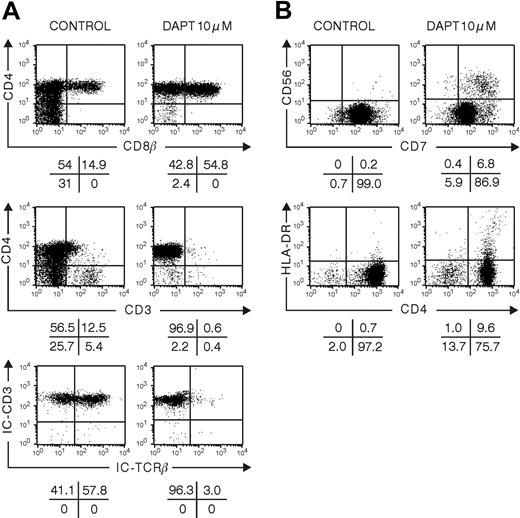 Figure 3. Influence of DAPT treatment on differentiation of human CD34+CD1- thymic progenitor cells in human-mouse hybrid FTOC. Murine fetal thymic lobes were seeded with human CD34+CD1- thymic progenitor cells and cultured for 13 (A) or 19 (B) days in the absence or presence of 10 μM DAPT. Representative dot plots of 4 independent experiments are shown.