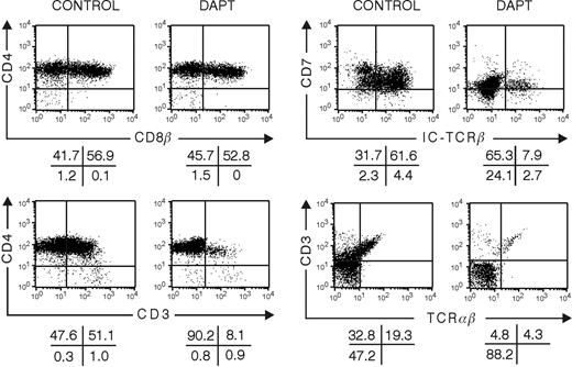 Figure 5. Influence of the inhibition of Notch signaling with DAPT on development in hybrid human-mouse FTOC seeded with human CD34+CD1+ thymic progenitor cells. Murine fetal thymic lobes were seeded with human CD34+CD1+ thymic progenitor cells cultured for 10 days in the absence or presence of 5 μM DAPT. Representative dot plots of the different subpopulations of 3 independent experiments are shown.