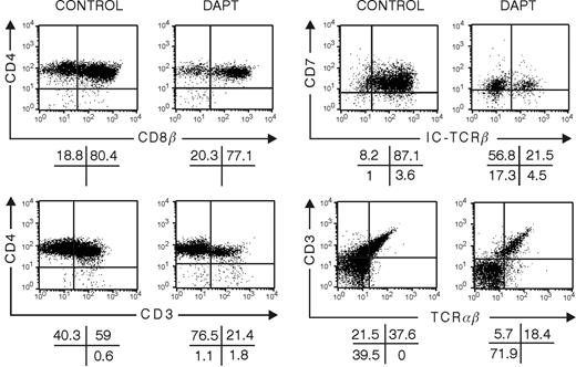 Figure 6. Influence of inhibition of Notch signaling with DAPT on development in hybrid human-mouse FTOC seeded with human CD4+ISP thymic progenitor cells. Murine fetal thymic lobes were seeded with human CD4+ISP thymic progenitor cells cultured for 10 days in the absence or presence of 5 μM DAPT. Representative dot plots of the different subpopulations of 3 independent experiments are shown.
