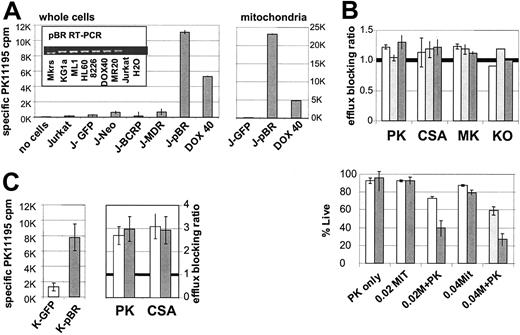 Figure 4. pBR expression is not sufficient to produce efflux inhibition by PK11195. (A) Jurkat lymphocytic leukemia cells were confirmed as pBR RNA-deficient in pBR-specific RT-PCR assays in which AML and MM cell lines served as positive controls (inset) and in ligand-binding assays in which DOX40 MM cells served as positive controls. Specific 3H-PK11195 binding was calculated by subtracting 3H-PK11195 counts per minute in the presence of 1000-fold excess unlabeled PK11195 from counts per minute in the absence of competitor. Lentiviral pBR transduction and flow sorting for GFP expression were used to produce J-pBR cells that stably expressed high levels of pBR as measured in 3H-PK11195 binding assays of whole-cell and mitochondrial lysates and as compared with positive control cells (DOX40) and negative controls (Jurkat, J-GFP, J-Neo). (B) Like parental Jurkat cells (white bars) and control J-GFP cells (gray bars), J-pBR cells (black bars) showed no MIT efflux that could be blocked by PK11195 (PK) or by known efflux inhibitors CSA, MK-571 (MK), or Ko143 (KO). Seventy-five micromolar PK11195 sensitized J-pBR cells to MIT significantly more than control J-GFP cells were affected, demonstrating functional pBR expression in J-pBR cells. (C) Lentiviral transduction was used to create K-pBR cells from Pgp-expressing, efflux-competent KG1a parental cells, as demonstrated in whole-cell PK11195 binding assays. K-pBR cells showed no more MIT efflux than control K-GFP cells when PK and CSA were used as efflux inhibitors. Cytotoxicity and efflux data and 3H-PK11195 binding data are presented as described for Figures 1 and 2, with summary data from 3 to 5 assays shown as means plus or minus SEM.
