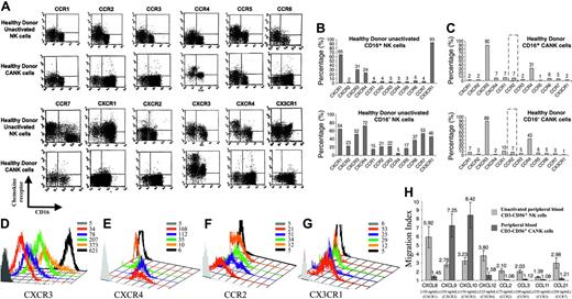 Figure 2. Chemokine receptor distribution on the cell surfaces of healthy donor–derived NK-cell subsets. Unactivated peripheral NK cells and CANK cell lines were generated and quadruple stained, as described in “Materials and methods.” (A) Chemokine receptor expression on healthy donor CD16+ and CD16– unactivated NK and CANK cells. (B-C) Representative chemokine receptor expression values on unactivated NK and CANK cells based on their CD16 phenotype. Indicated values represent the percentage of cells of the total cell population positive for a certain chemokine receptor. (D-G) Time-dependent changes in chemokine receptor expression on NK cells stimulated with 50 U/mL IL-2 in comparison with CANK cells. (D) CXCR3 changes on CD16+ NK. (E) CXCR4 changes on CD16– NK. (F) CCR2 changes on polyclonal NK. (G) CX3CR1 changes on CD16+ NK. Values indicate mean fluorescence intensity (MFI) values for each staining. (H) Migration assay for healthy donor polyclonal unactivated NK (light gray) and CANK cell lines (dark gray) to multiple chemokines at optimal concentration levels was performed, as described in “Materials and methods.” Matching receptor and concentration used for each chemokine are indicated in brackets. Results are from 1 representative experiment of 3 to 23 experiments performed.