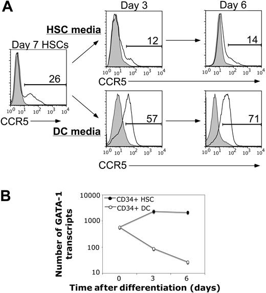 Figure 1. Endogenous GATA-1 expression is inversely related to CCR5 expression in human CD34+ hematopoietic stem cells during DC differentiation. Purified and expanded primary human HSCs were cultured in stem cell media or DC-differentiating media and 2 endpoints were analyzed: (A) cell-surface CCR5 expression was assessed at the indicated time points via flow cytometry and (B) endogenous GATA-1 mRNA levels were determined via quantitative real-time PCR (see “Materials and methods”). The findings represent 2 experiments performed using stem cells isolated from independent umbilical cord blood samples