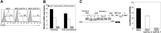 Figure 4. GATA-1 expression in primary human T cells suppresses CCR5 promoter activity. (A) Total resting CD4+ T cells TCR activated and transduced with HDV, HDV.GATA-3, or HDV.GATA-1 were expanded, and cell-surface expression of CCR5 was assessed on unsorted cells by staining with either isotype control (gray peaks) or anti-CCR5 (white peaks) antibodies in conjunction with an anti-mCD24 antibody. The histograms are gated on the mCD24+ populations, and the percentage of CCR5-positive T cells are displayed. The histograms are representative of 5 independent stainings performed on cells isolated from different blood donors. (B) Total CD4+ human T cells expressing HDV, HDV.GATA-1, or HDV.GATA-3 as above were sorted based on mCD24 expression (see “Materials and methods”) and either left unstimulated (resting) or restimulated via anti-CD3 and anti-CD28 crosslinking for 18 hours (restimulated). Cells were lysed, cDNA was generated, and quantitative real-time PCR was performed using gene-specific primers. CCR5 mRNA expression levels are normalized to GAPDH levels and are displayed as fold differences in relative expression. These data represent 3 independent real-time PCR reactions run from cDNA generated from separate sets of cells from different donors. (C, left) Genomic organization of human CCR5 and the GATA-1 cis-binding sites. Open boxes are exons, dashed lines connecting exons are introns. Exons and introns are numbered. Nucleotide numbering and gene structure are according to Mummidi et al.39 GATA-1–binding positions are indicated by diamonds, and the GATA binding sites previously characterized14,15 are marked with asterisks. The luciferase reporter construct is schematically shown below the gene structure (see “Materials and methods”). (C, right) Transduced human T cells positively sorted for mCD24 expression were restimulated through the TCR (see “Materials and methods”) and are transfected with either the full-length CCR5 promoter driving firefly luciferase expression or a promoterless firefly luciferase plasmid. Cells were cotransfected to normalize for transfection efficiency. Transfected cells were lysed, and luciferase expression was quantified. Firefly luciferase activity was normalized to Renilla activity within samples, and the data are displayed as the relative fold induction of firefly luciferase driven by CCR5 promoter over the promoterless control vector. These data represent 3 independent sets of transfections performed on cells from separate donors. Error bars indicate standard deviation of duplicate samples.