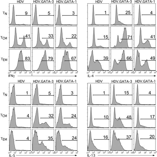 Figure 5. Ectopic GATA-1 expression in human TN,TCM, and TEM cells induces a Th2 cytokine profile. CD45RO–RA+ naive and CD45RO+RA– memory T cells were purified from adult blood PBMCs of healthy donors. Memory T cells were further sorted by FACS for expression of CCR7 into TCM (CCR7+) and TCM (CCR7–) cells. The T-cell populations were TCR activated and transduced with HDV, HDV.GATA-1, or HDV.GATA-3 at the time of activation (see “Materials and methods”). Following 8 to 10 days of expansion, intracellular expression of the cytokines IFNγ, IL-4, IL-5, and IL-13 were determined by flow cytometry. For these experiments transduced cells were left unsorted, but mCD24+ cells were identified and gated on by costaining with an anti-mCD24 antibody. These data are representative of 3 separate experiments using T-cell subsets purified from different adult donors.