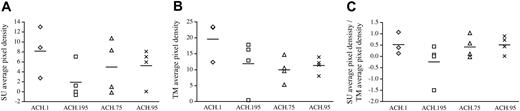Figure 4. Semiquantitative analysis of HTLV-1 SU- and TM-specific antibody responses. Densitometry analysis was performed on the Western blots shown in Figure 3. (A) SU average pixel density. The ACH.195 SU average pixel density was lower than that seen in other inoculation groups. (B) TM average pixel density. The ACH.195 TM average pixel density was similar to that seen in other inoculation groups. (C) SU average pixel density/TM average pixel density. ACH.195 rabbits mounted a lower SU antibody response relative to their TM antibody response compared with rabbits in other inoculation groups.